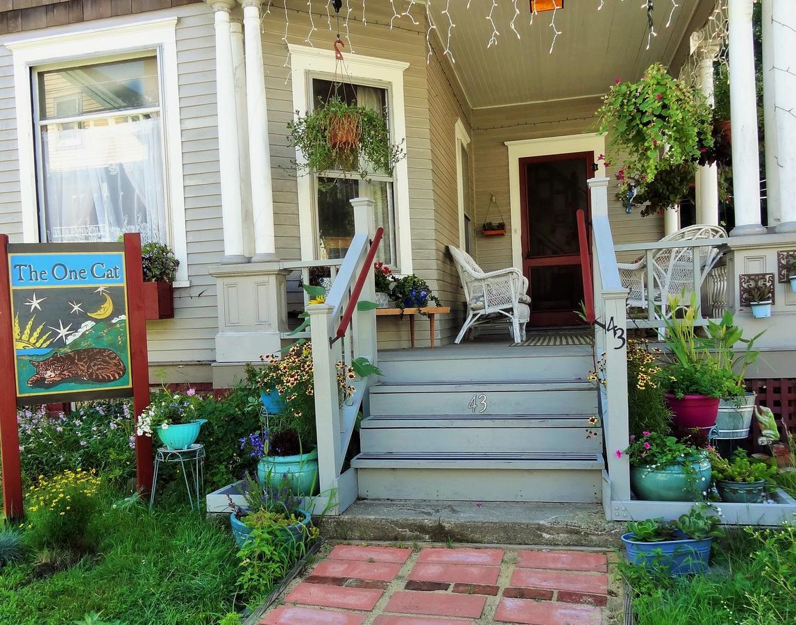The One Cat Bed & Breakfast Brattleboro Exterior foto