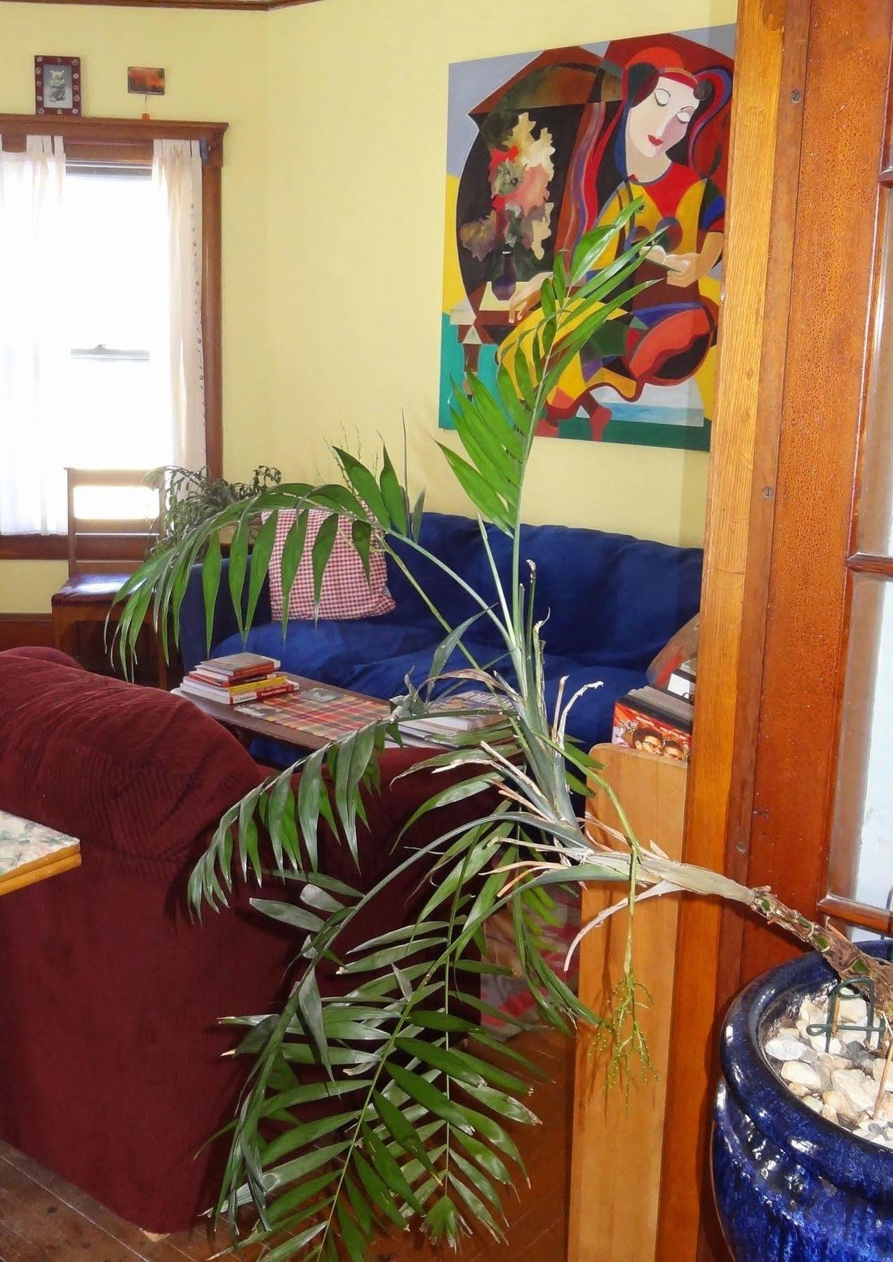 The One Cat Bed & Breakfast Brattleboro Exterior foto