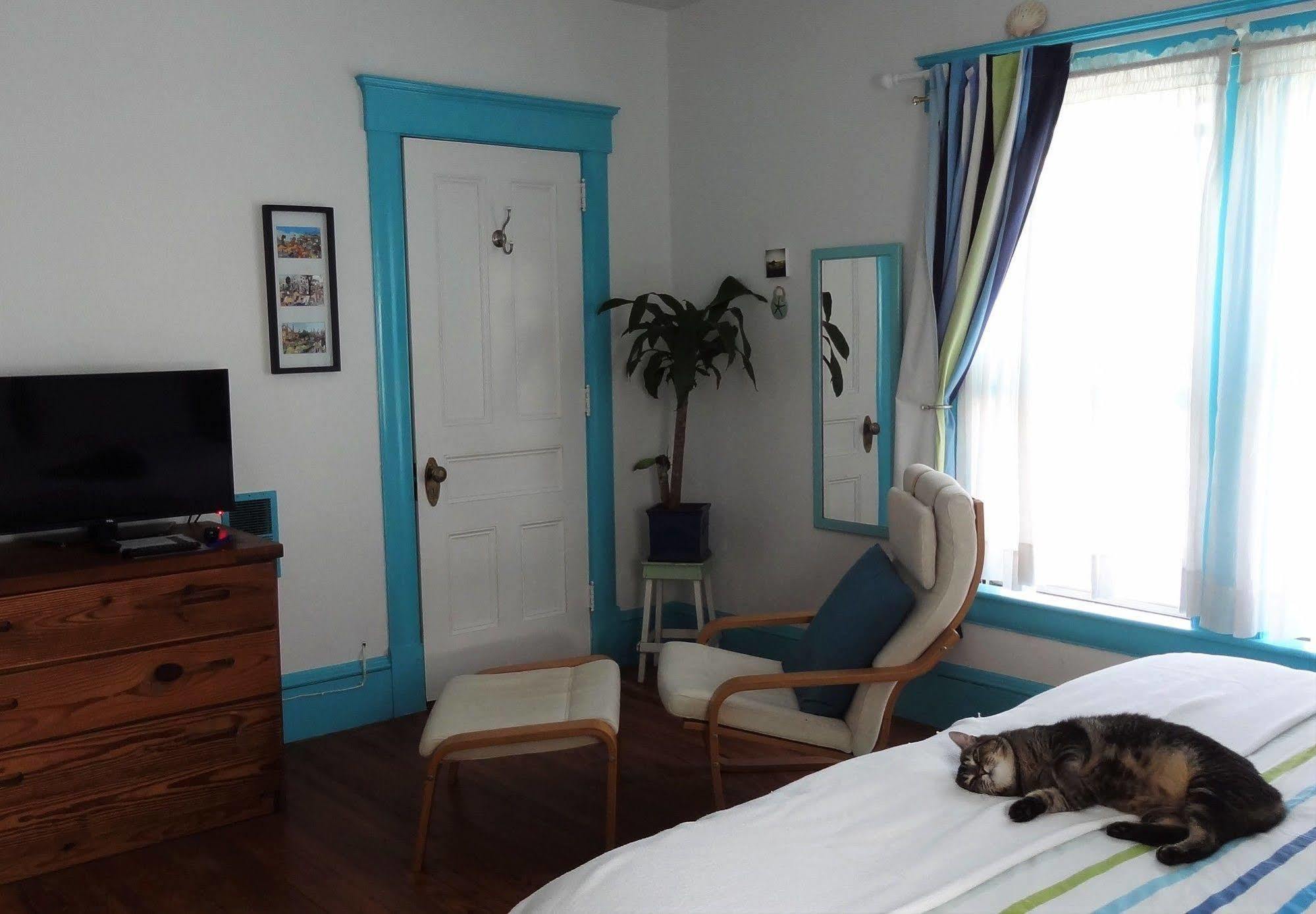 The One Cat Bed & Breakfast Brattleboro Exterior foto