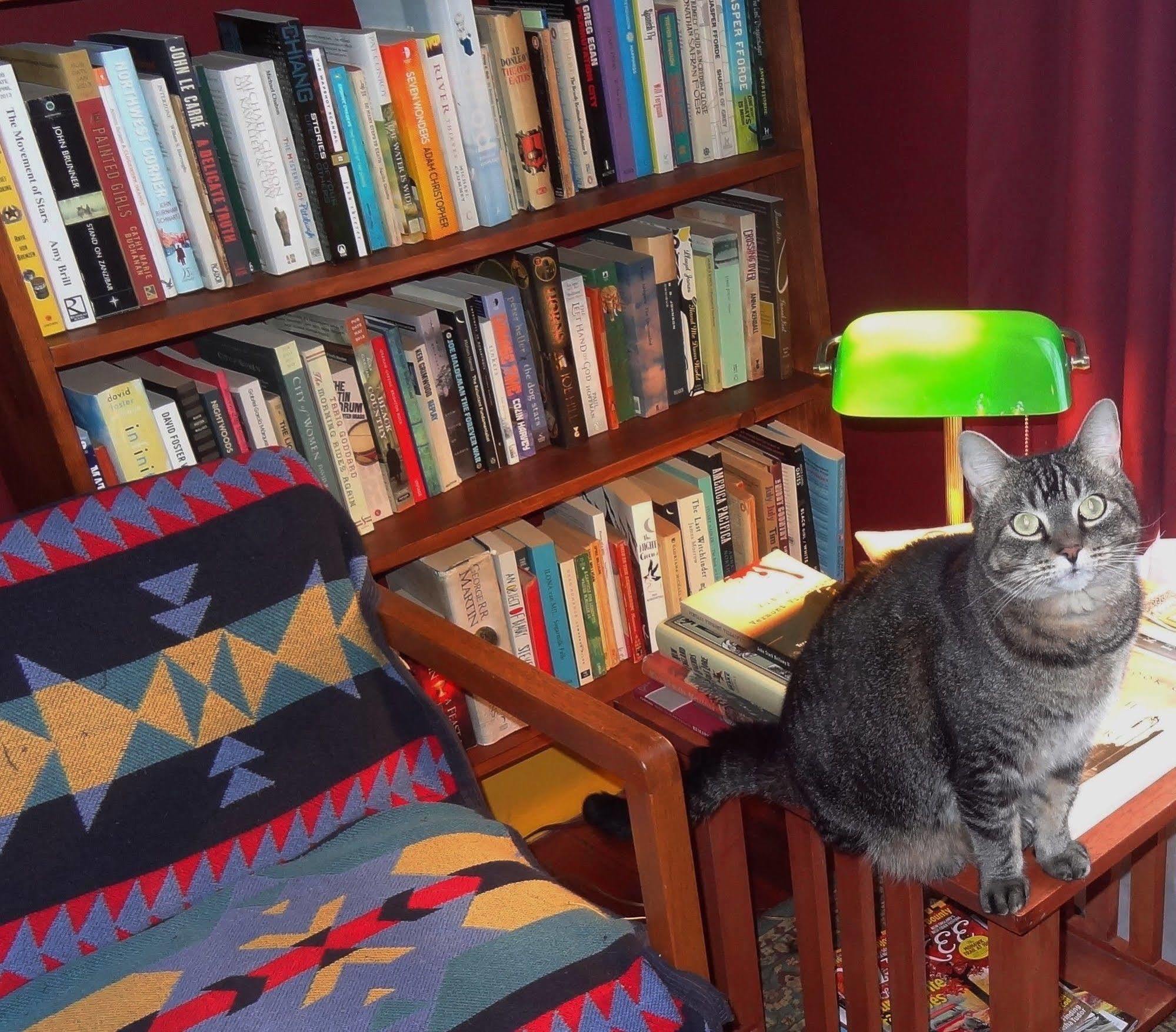 The One Cat Bed & Breakfast Brattleboro Exterior foto